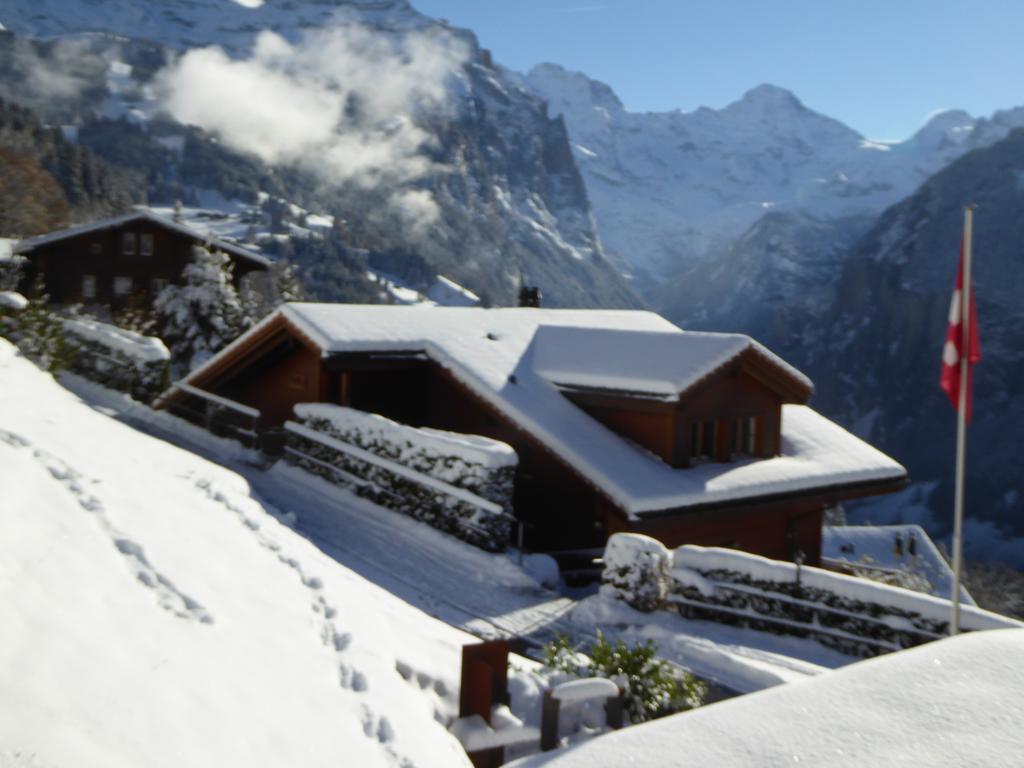 Chalet Protea Wengen Exterior foto