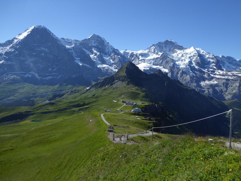 Chalet Protea Wengen Exterior foto